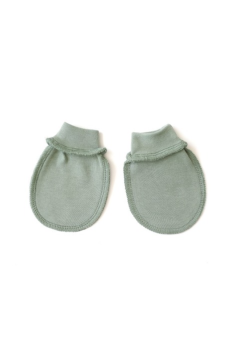 Царапки Abel, Лаврові