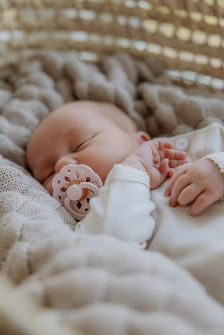 Пустушка BIBS Boheme, Round, Blossom - фото 1