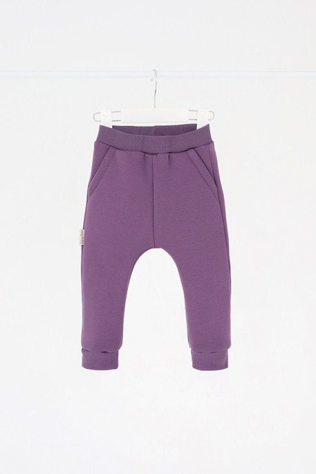 Штаны на флисе Brave, Аметистовые