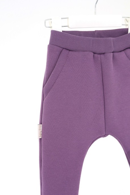 Штаны на флисе Brave, Аметистовые - фото 3