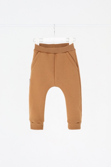 Штаны на флисе Brave, Ирис