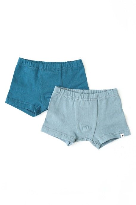 Двойной набор трусиков Richard, Морской