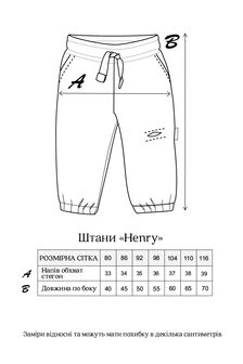 Штани Henry, Умбра - фото 6